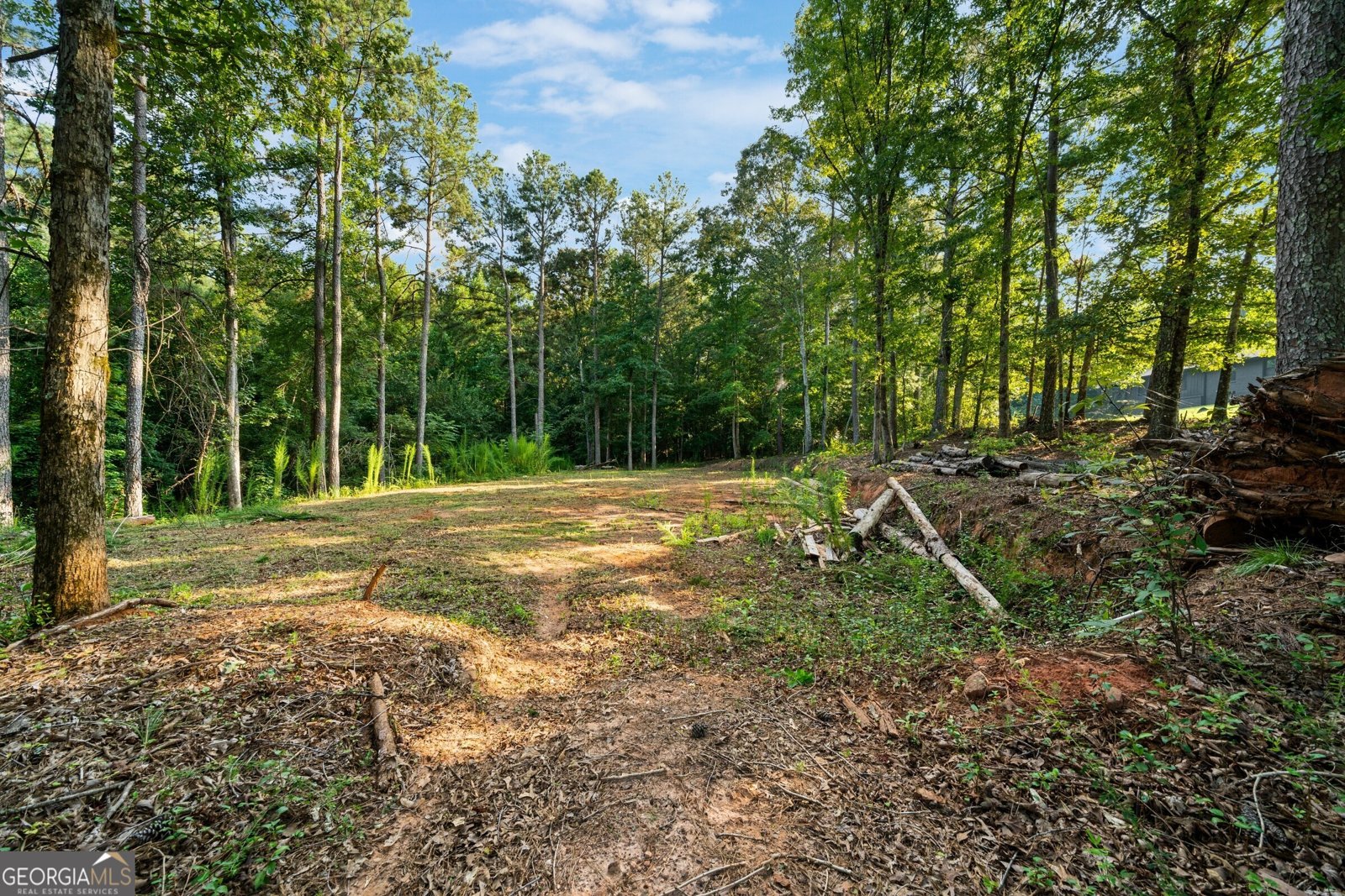 280 Etheridge Road Auburn - Photo 68