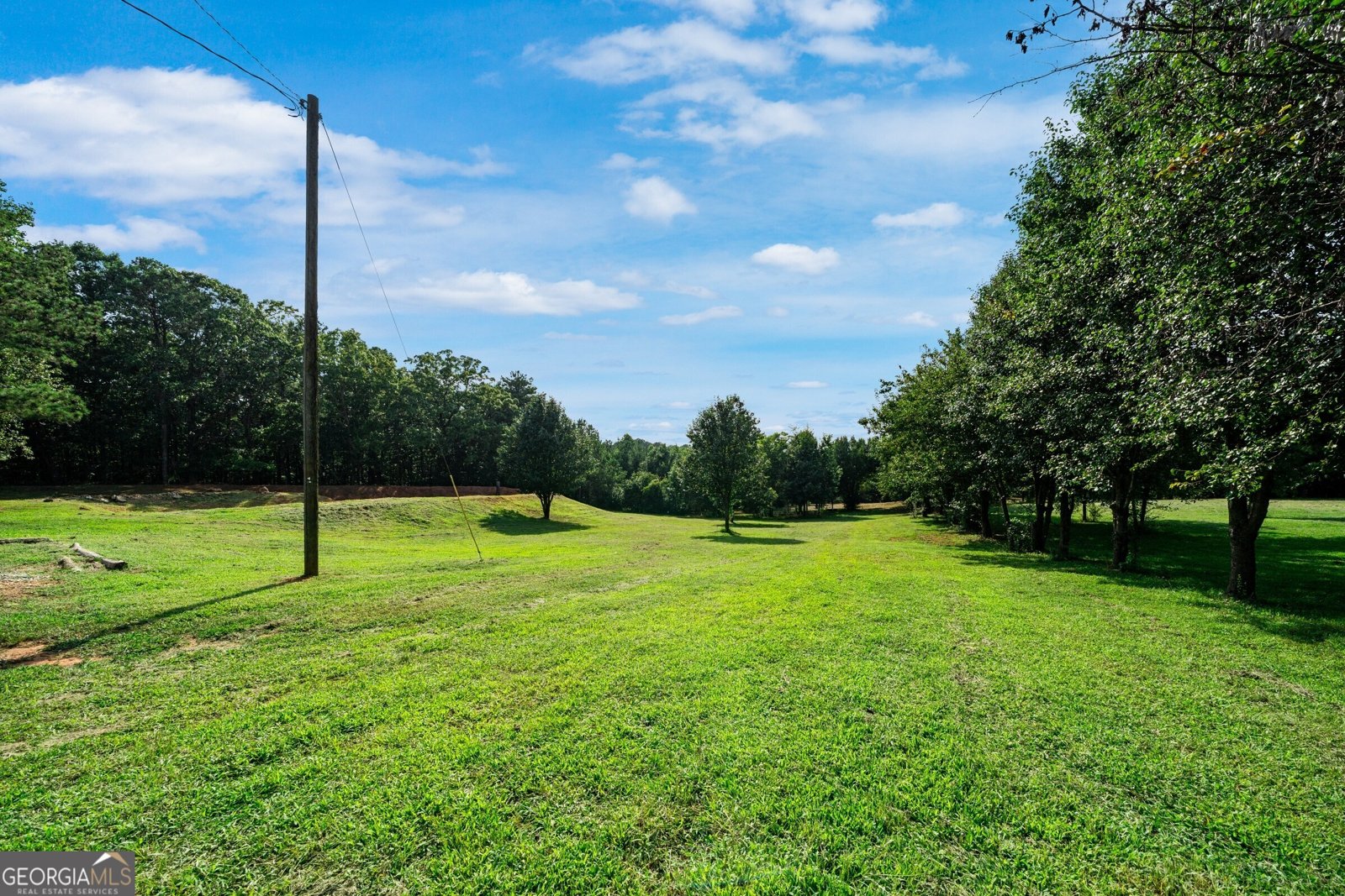 280 Etheridge Road Auburn - Photo 69