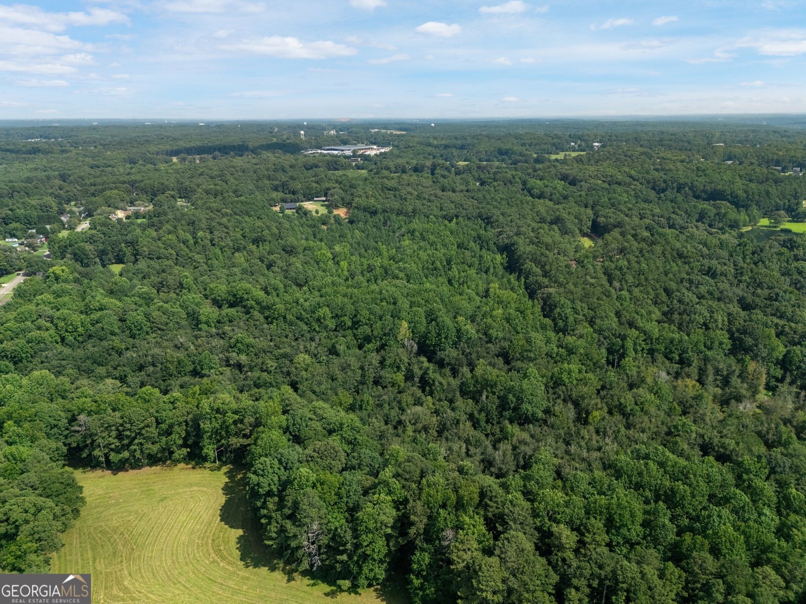 280 Etheridge Road Auburn - Photo 74