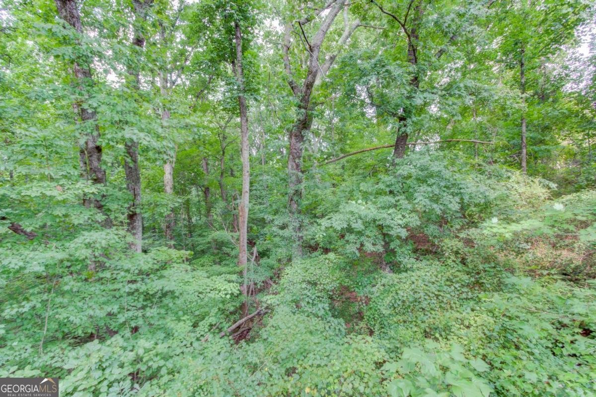 3938 Pointe Gainesville - Photo 42