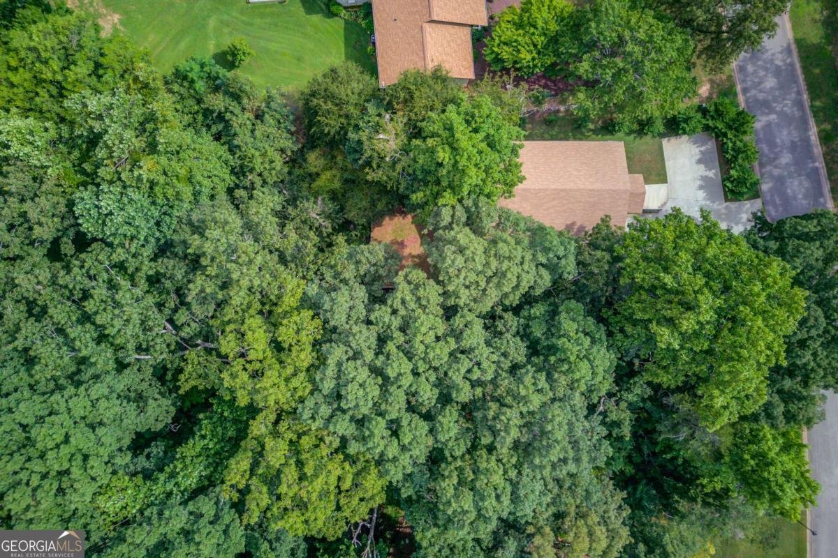 3938 Pointe Gainesville - Photo 43