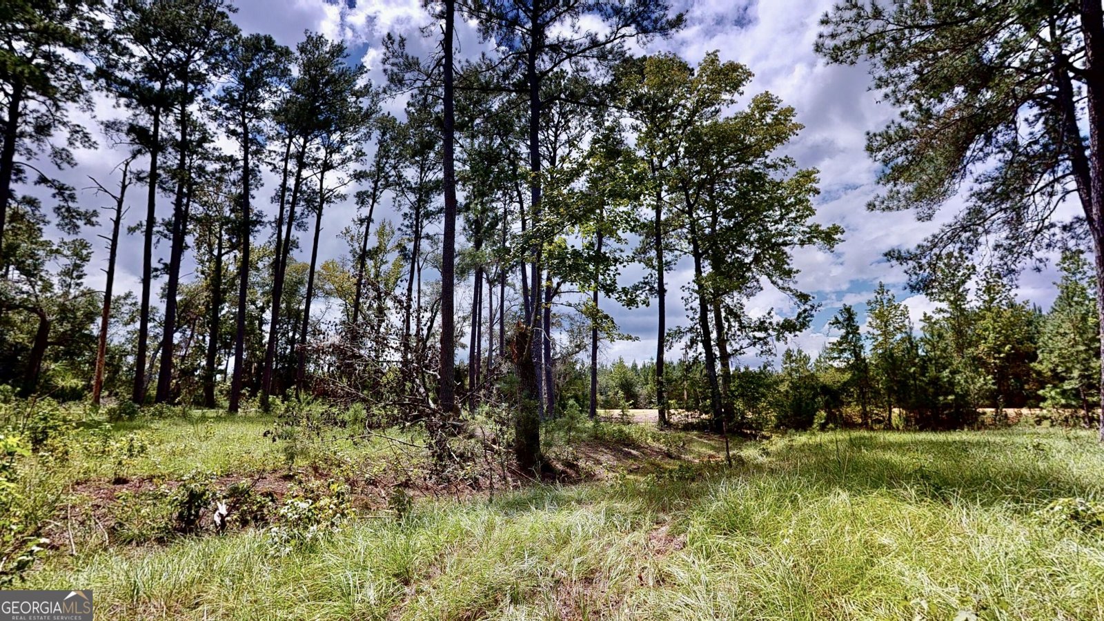 807 Aden Lanier Road Statesboro - Photo 10
