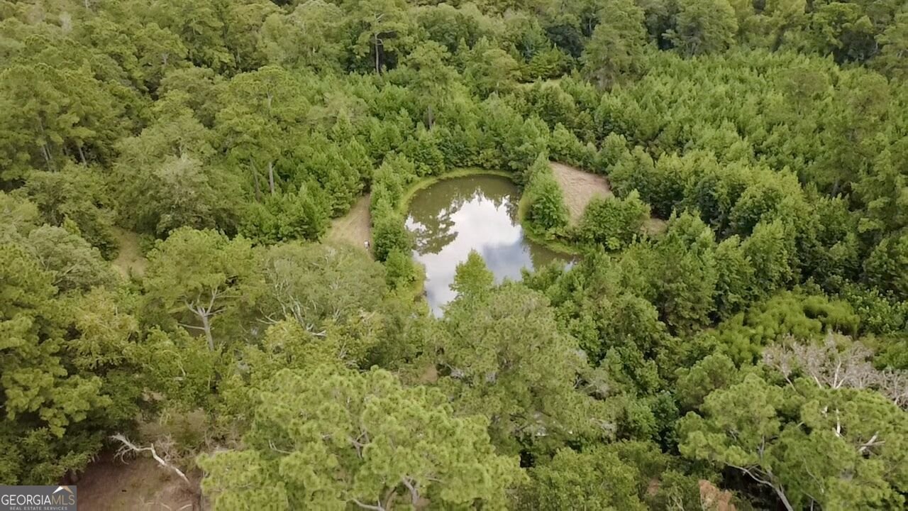 807 Aden Lanier Road Statesboro - Photo 13