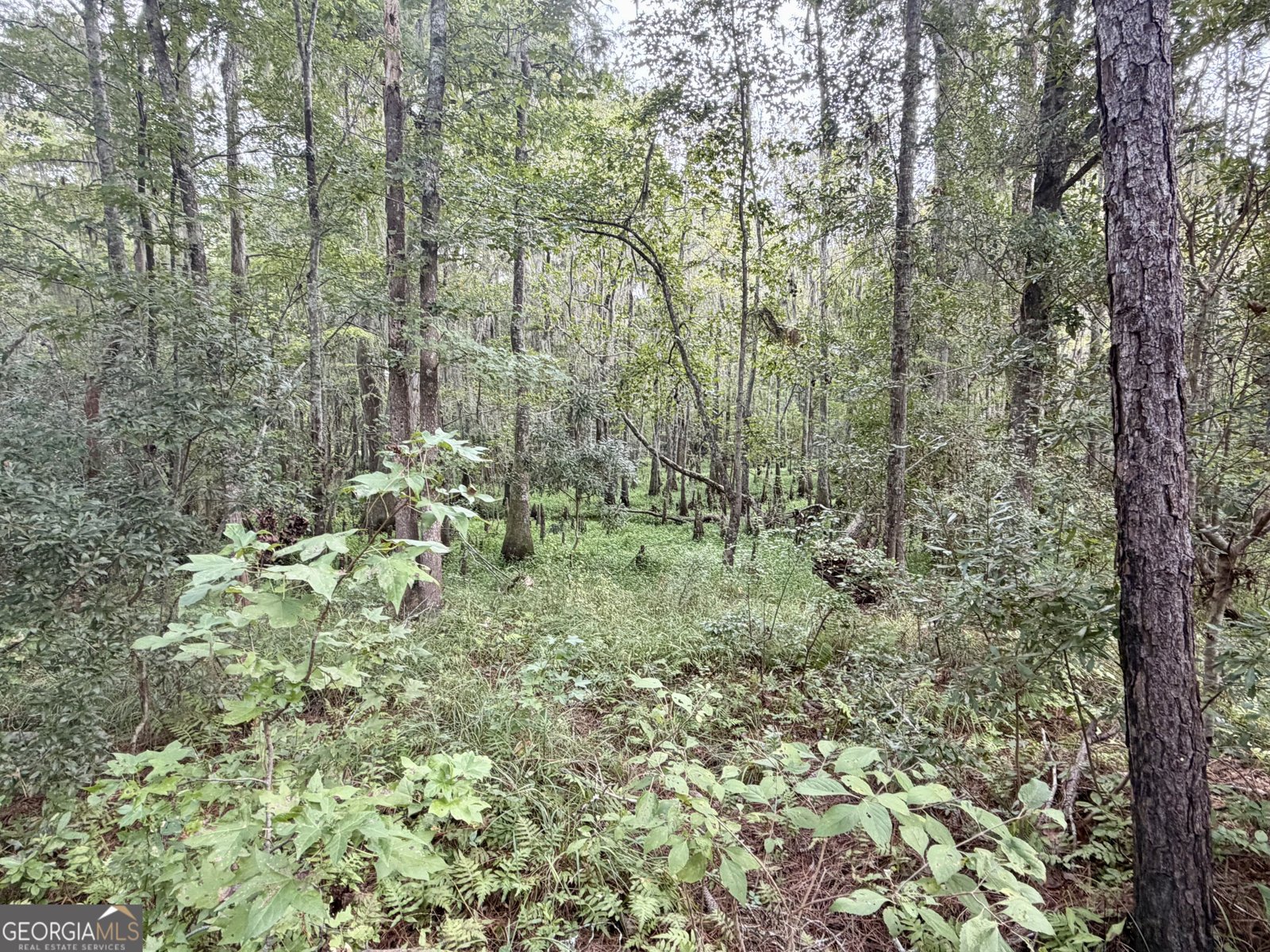 807 Aden Lanier Road Statesboro - Photo 14