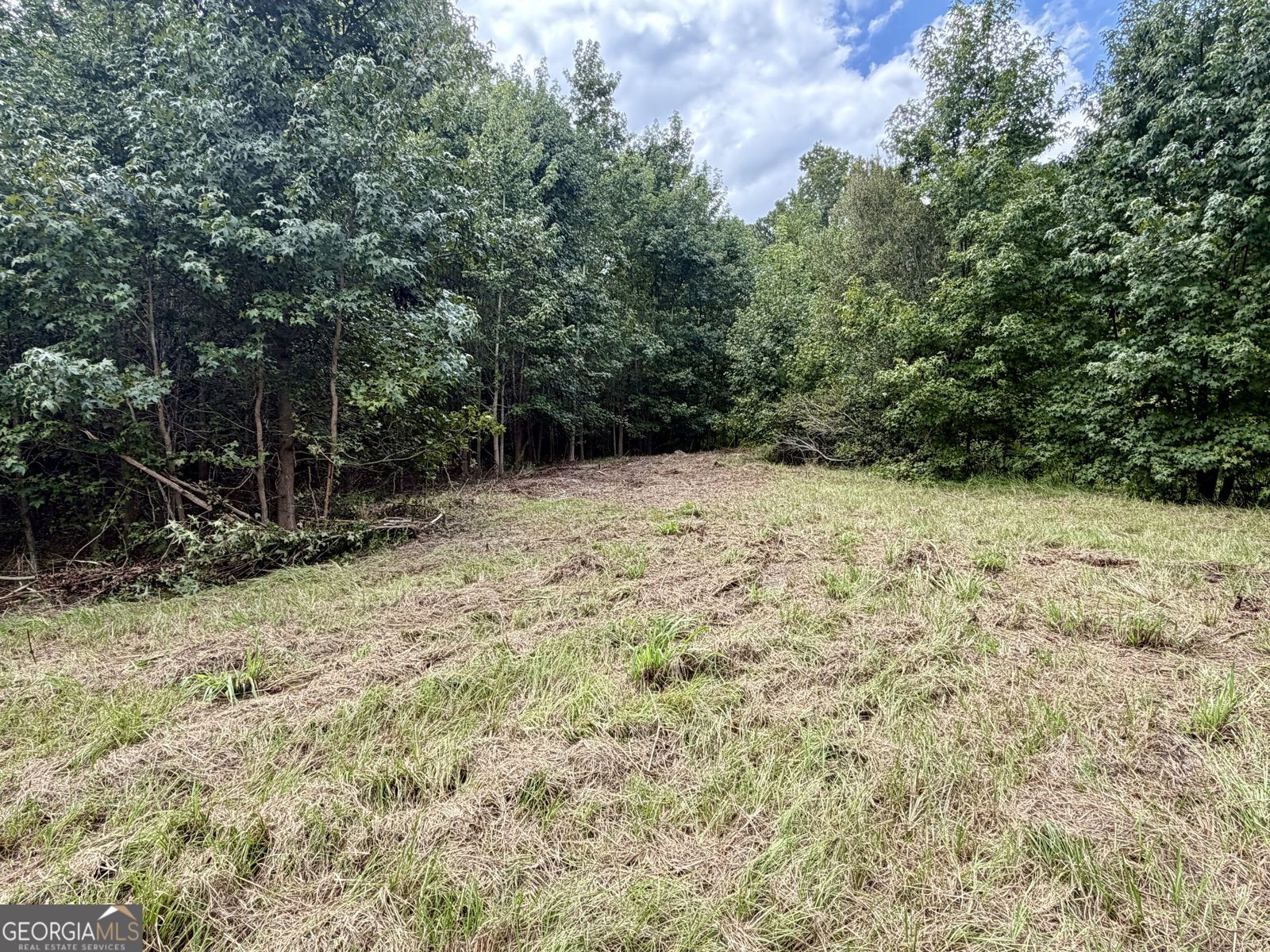 807 Aden Lanier Road Statesboro - Photo 16