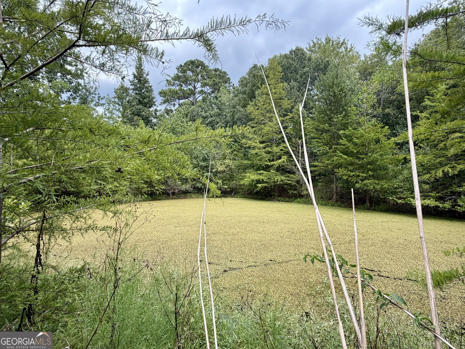 807 Aden Lanier Road Statesboro - Photo 18