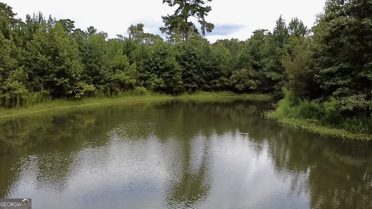 807 Aden Lanier Road Statesboro - Photo 6