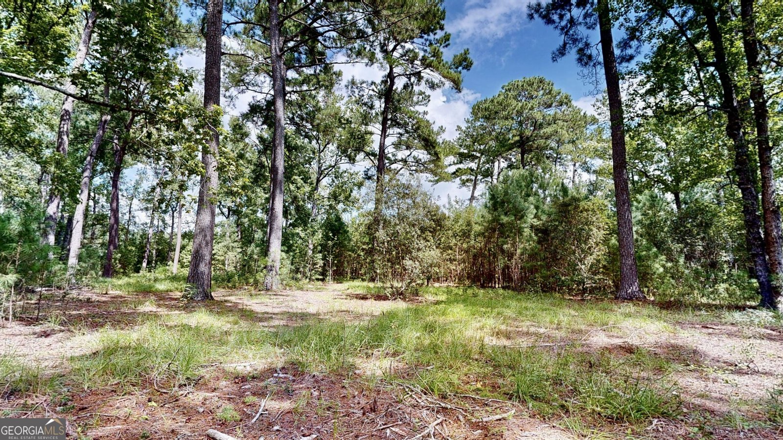 807 Aden Lanier Road Statesboro - Photo 9