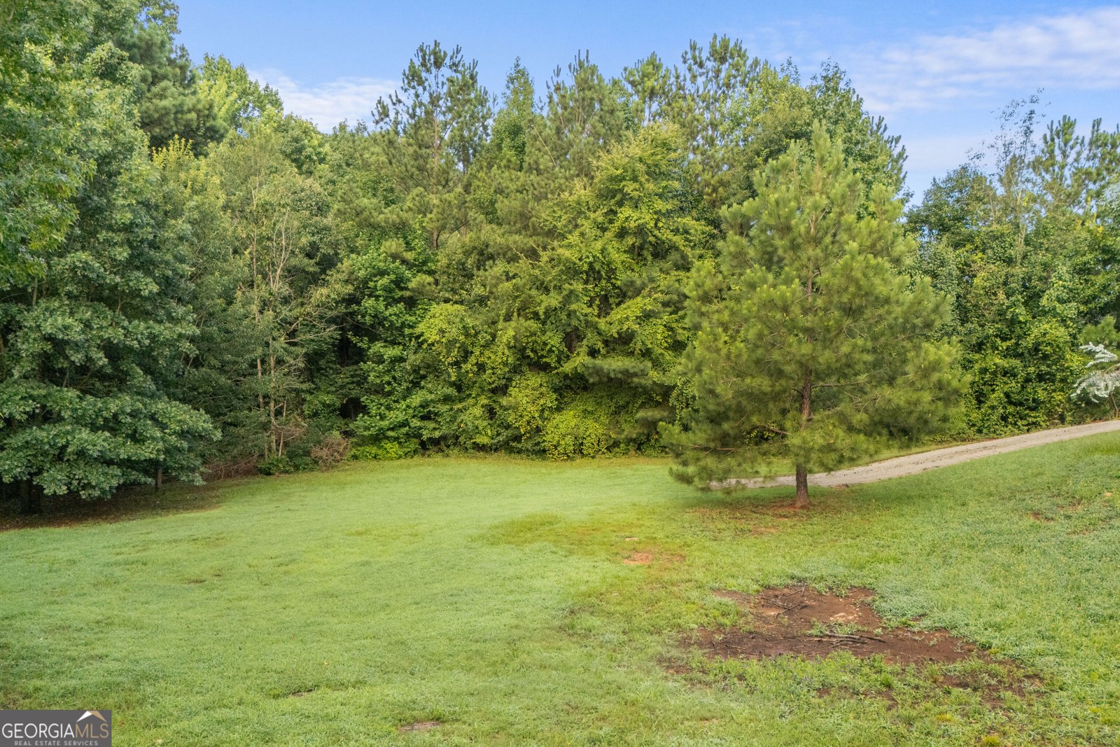 20 Alcovy Forest Way Covington - Photo 48