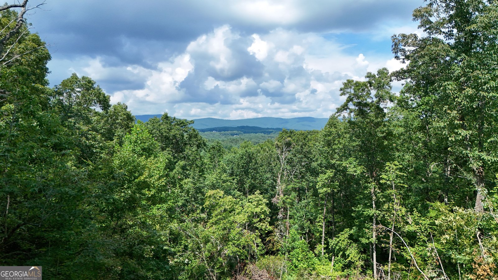 1947 Ivy Mountain Road Clarkesville - Photo 25