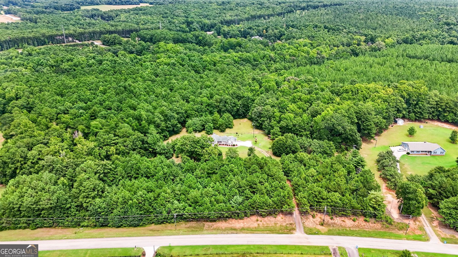 2575 Luella Road Locust Grove - Photo 45