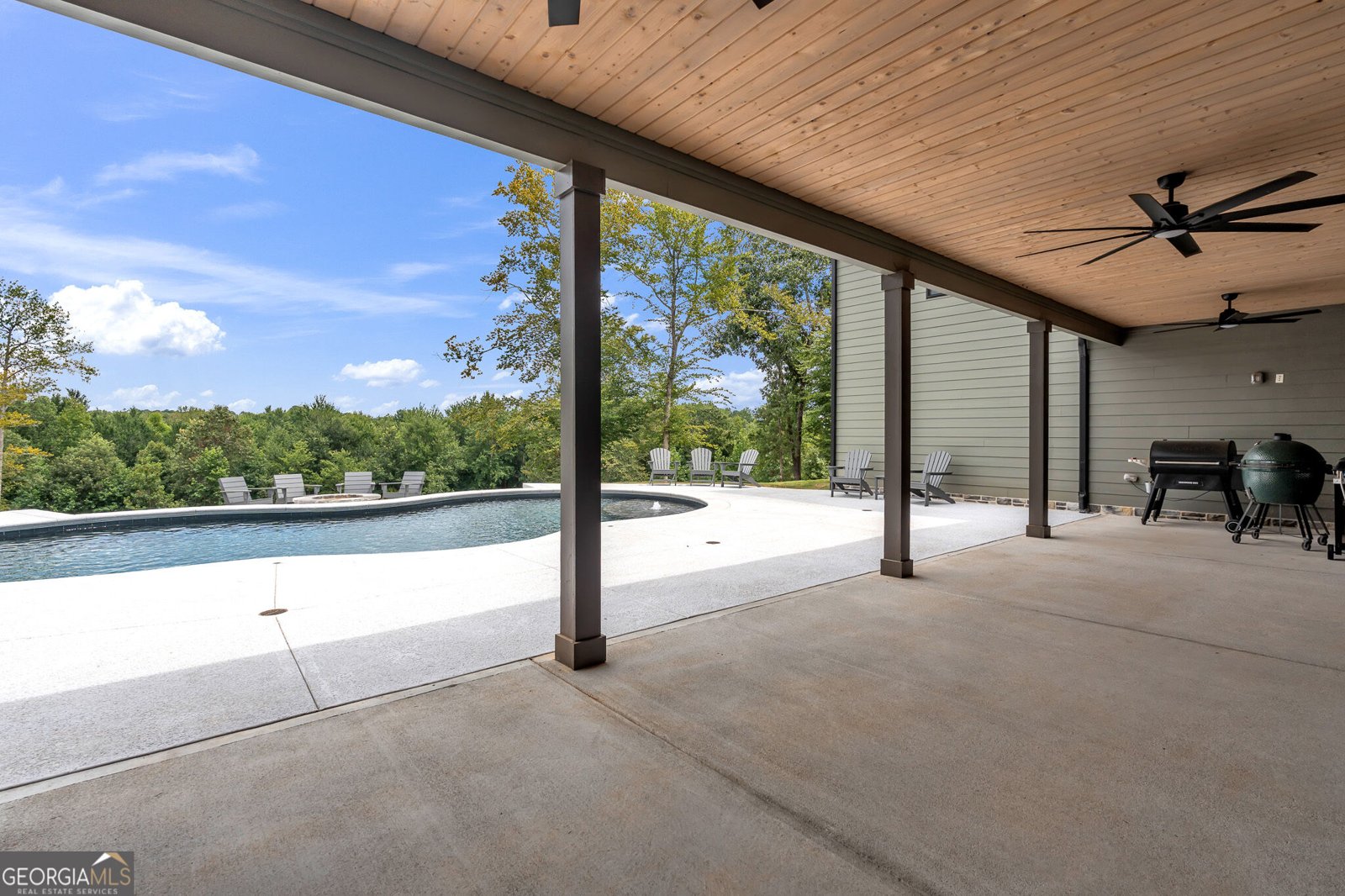 392 Georgian Pines Drive Senoia - Photo 65