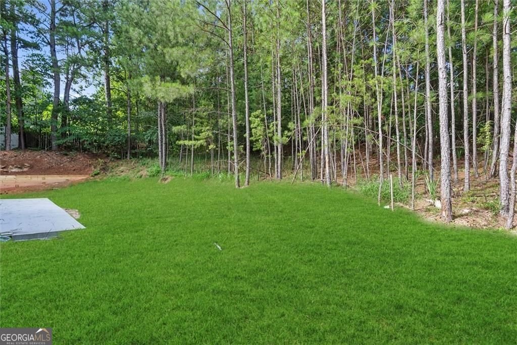 2195 Amberly Glen Way Dacula - Photo 46