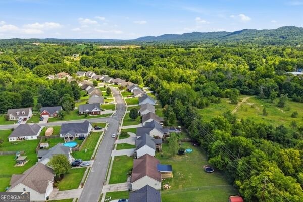 192 Gladstone Drive Ringgold - Photo 30