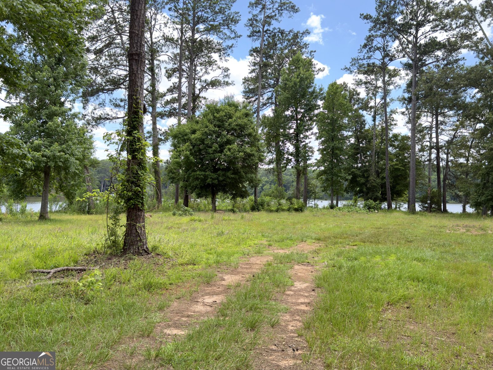 137 D Weavers Lakefront Road Jackson - Photo 46