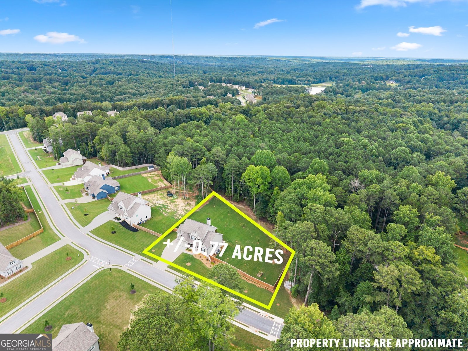 1081 Holly Drive Loganville - Photo 60