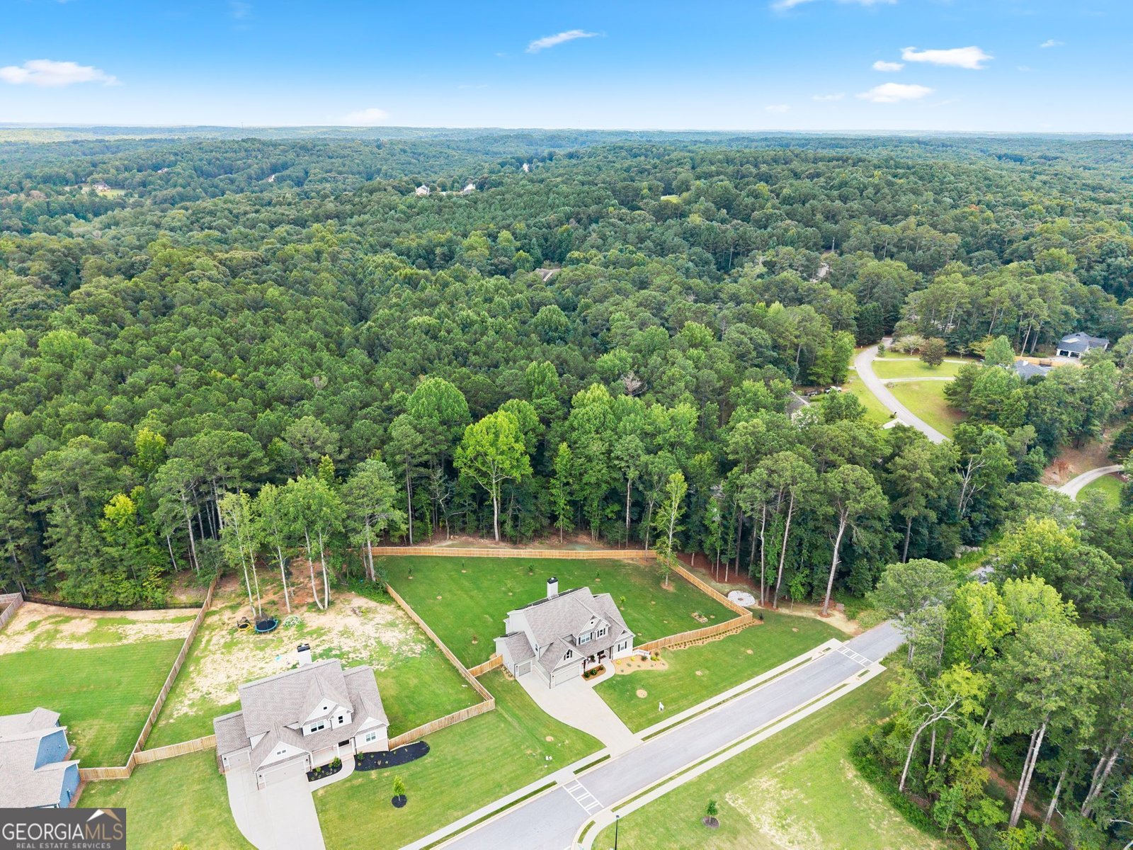 1081 Holly Drive Loganville - Photo 62