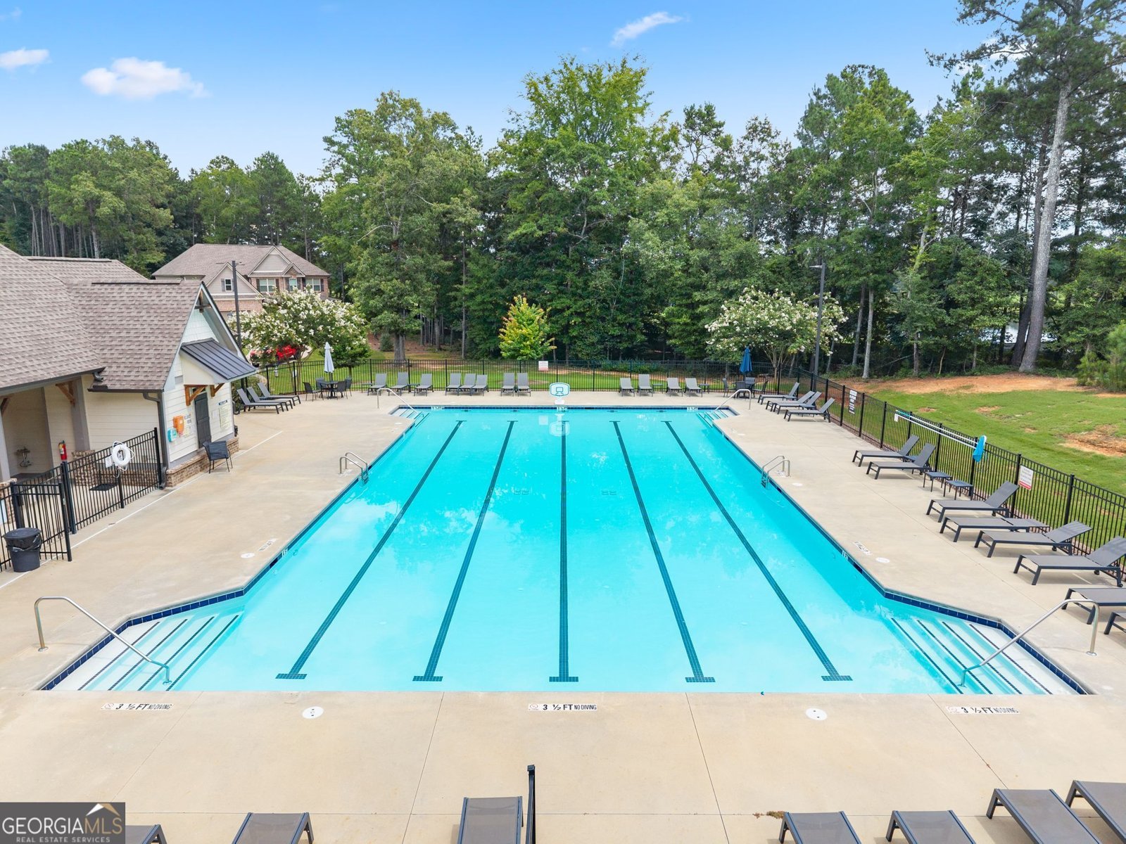 1081 Holly Drive Loganville - Photo 67