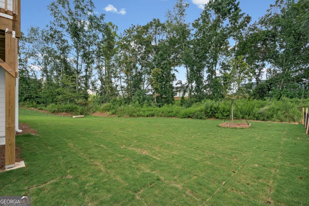 7271 Thistle Down Way Flowery Branch - Photo 19