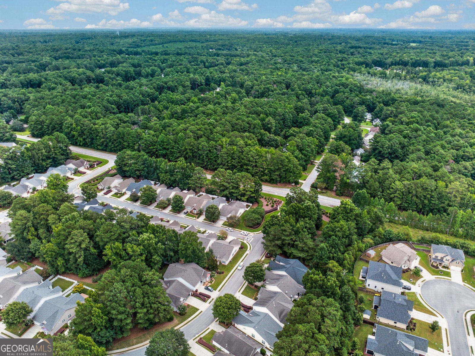7 Ginger Gold Drive Newnan - Photo 48