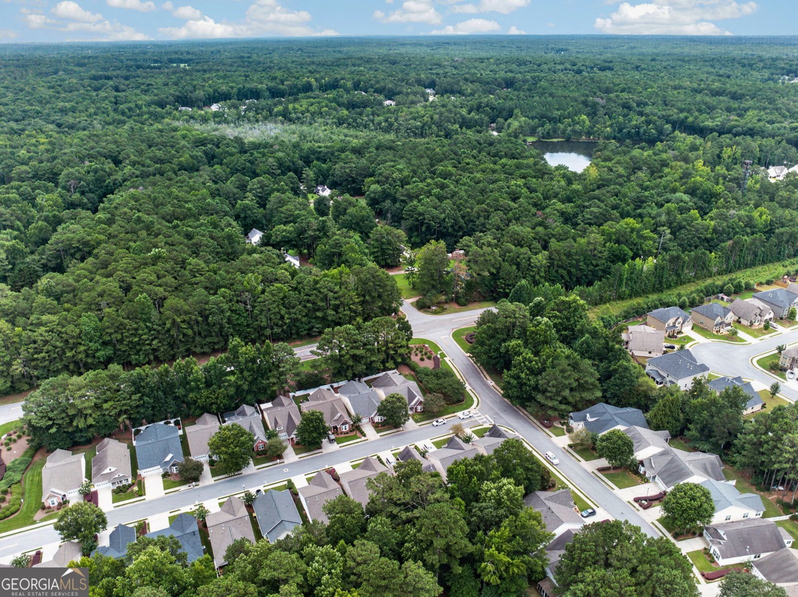 7 Ginger Gold Drive Newnan - Photo 49