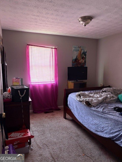355 Lori Lane Riverdale - Photo 12