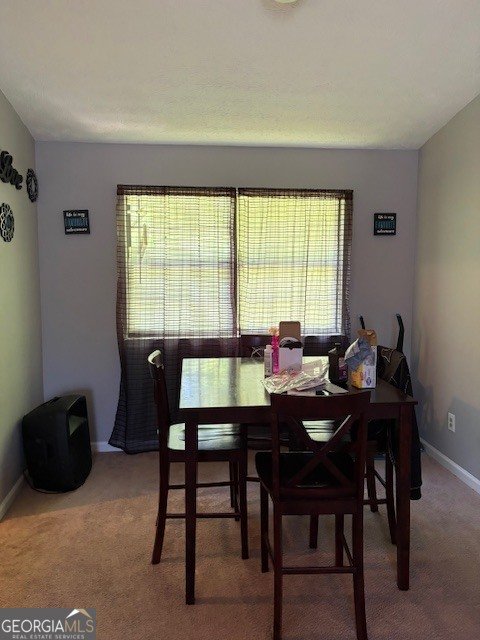355 Lori Lane Riverdale - Photo 14