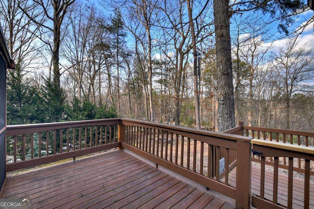 171 Mohawk Trail Ellijay - Photo 19