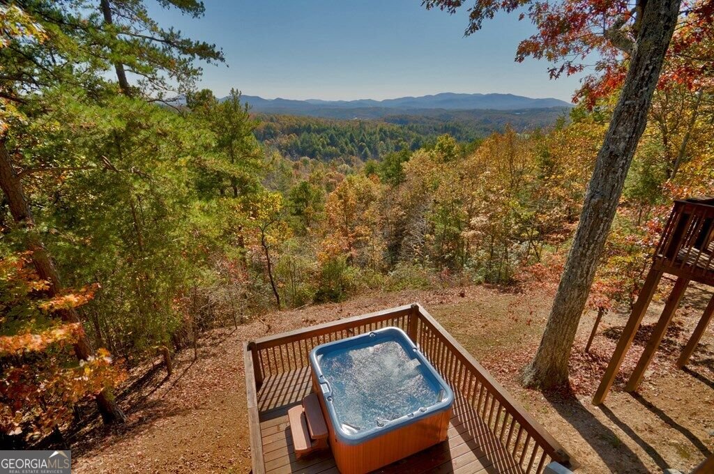 1360 Black Ankle Creek Road Blue Ridge - Photo 43