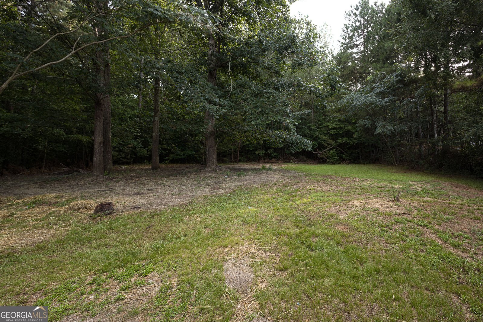 1965 Tanglewood Drive Elberton - Photo 28