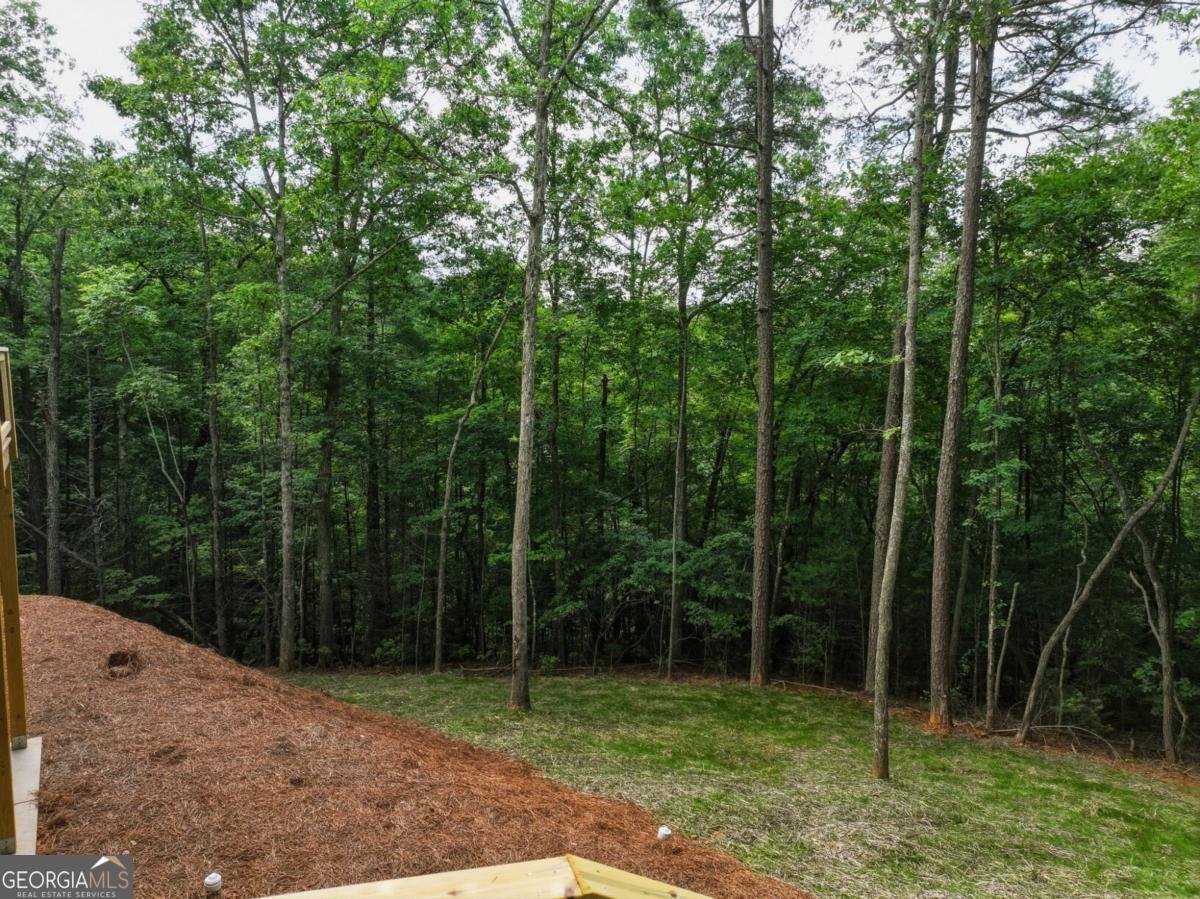 257 Gallery Court Ellijay - Photo 48