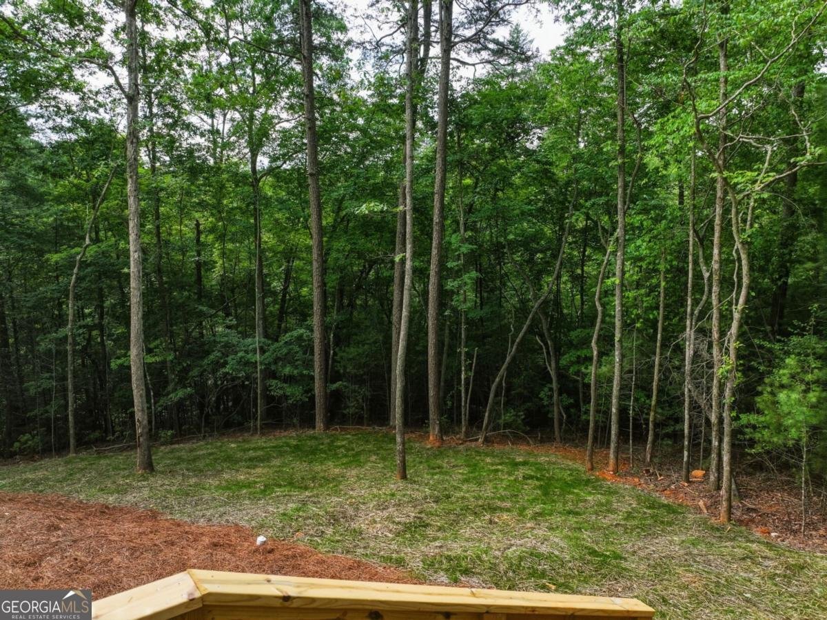 257 Gallery Court Ellijay - Photo 49