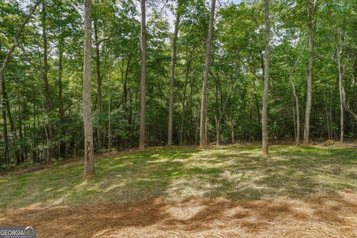257 Gallery Court Ellijay - Photo 50