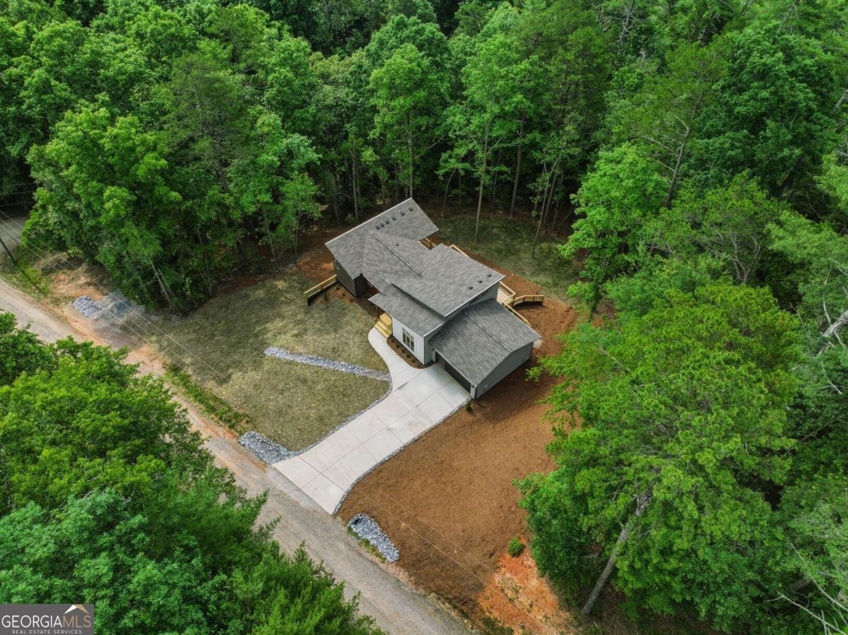 257 Gallery Court Ellijay - Photo 58