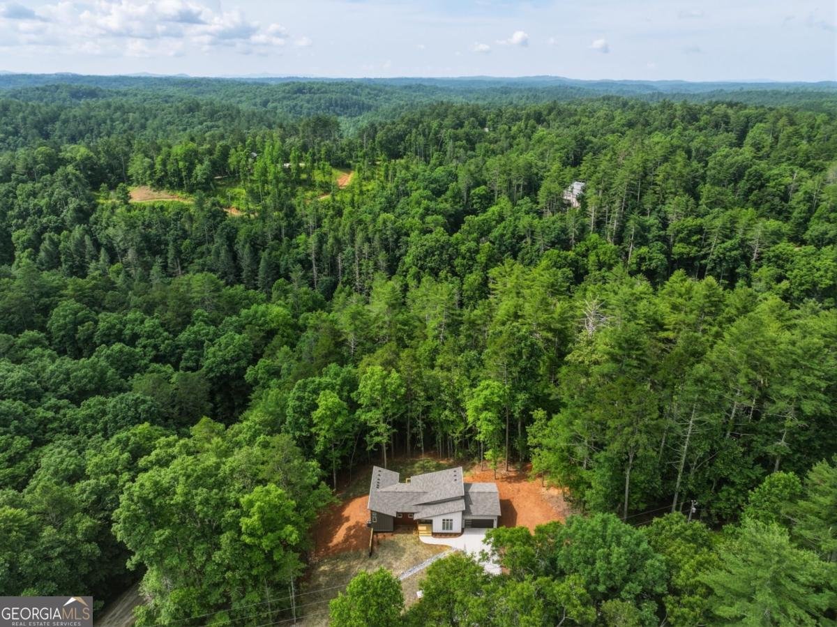 257 Gallery Court Ellijay - Photo 59