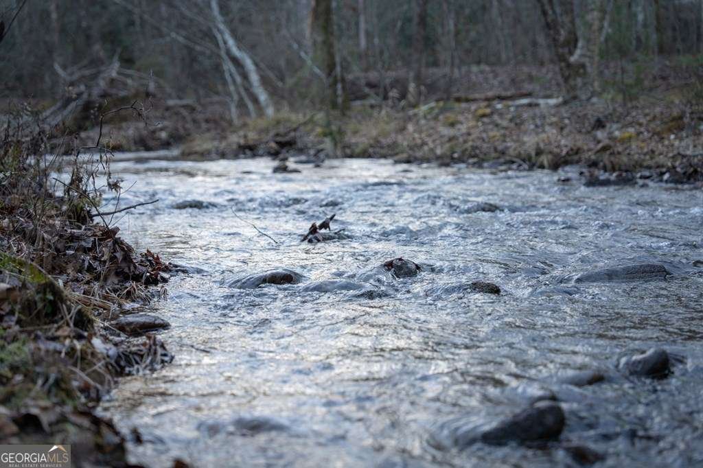 490 Red Wolf Run Franklin - Photo 10