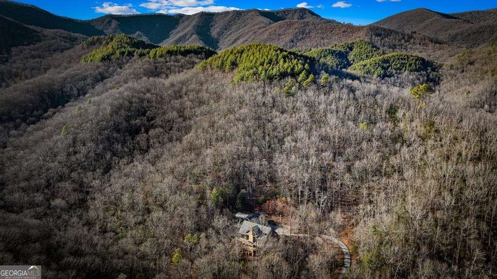 490 Red Wolf Run Franklin - Photo 7