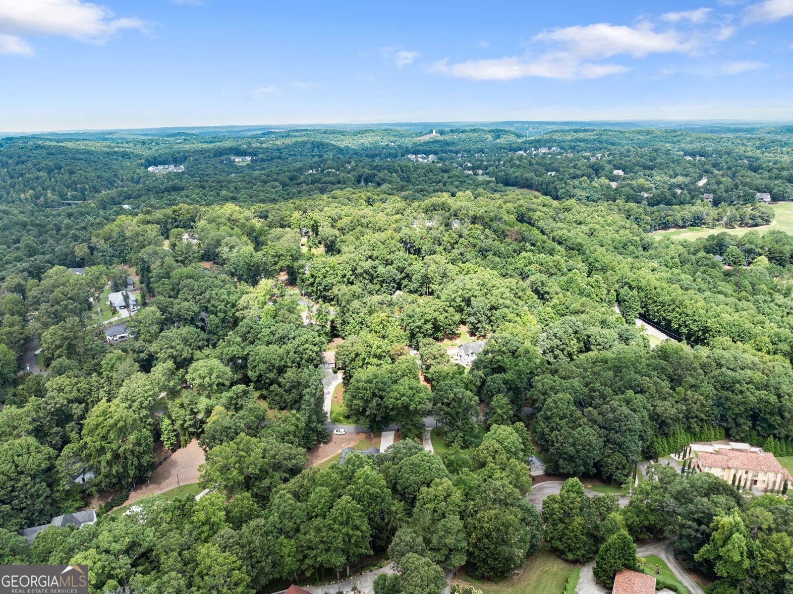 117 Moss Overlook Road Dawsonville - Photo 41