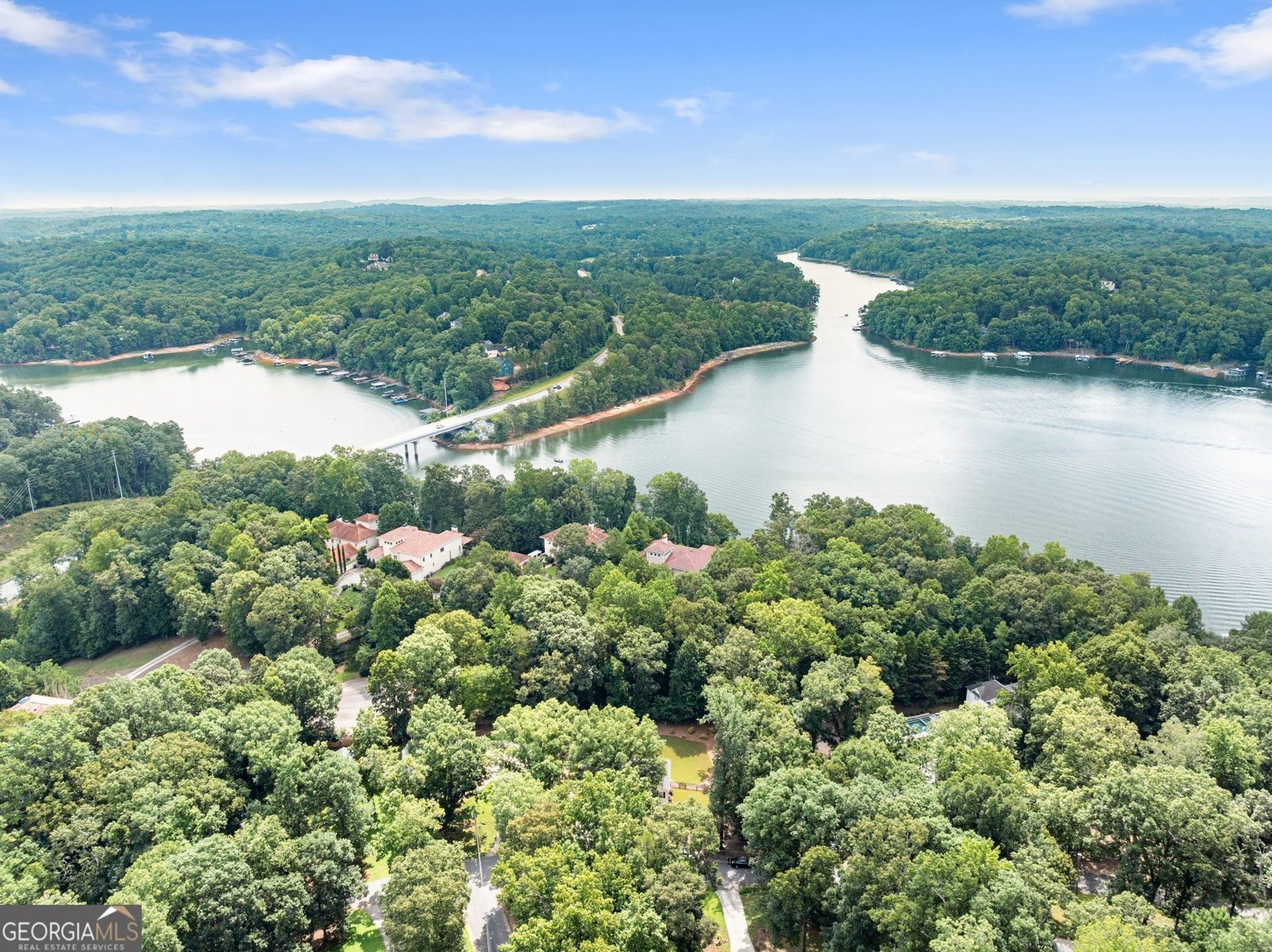 117 Moss Overlook Road Dawsonville - Photo 43