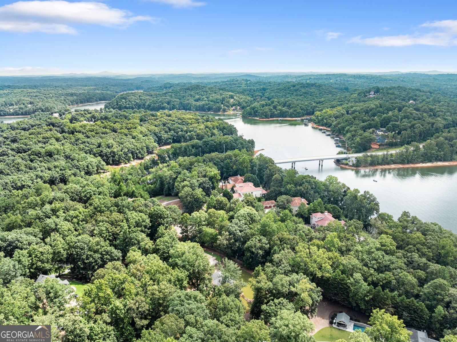 117 Moss Overlook Road Dawsonville - Photo 46