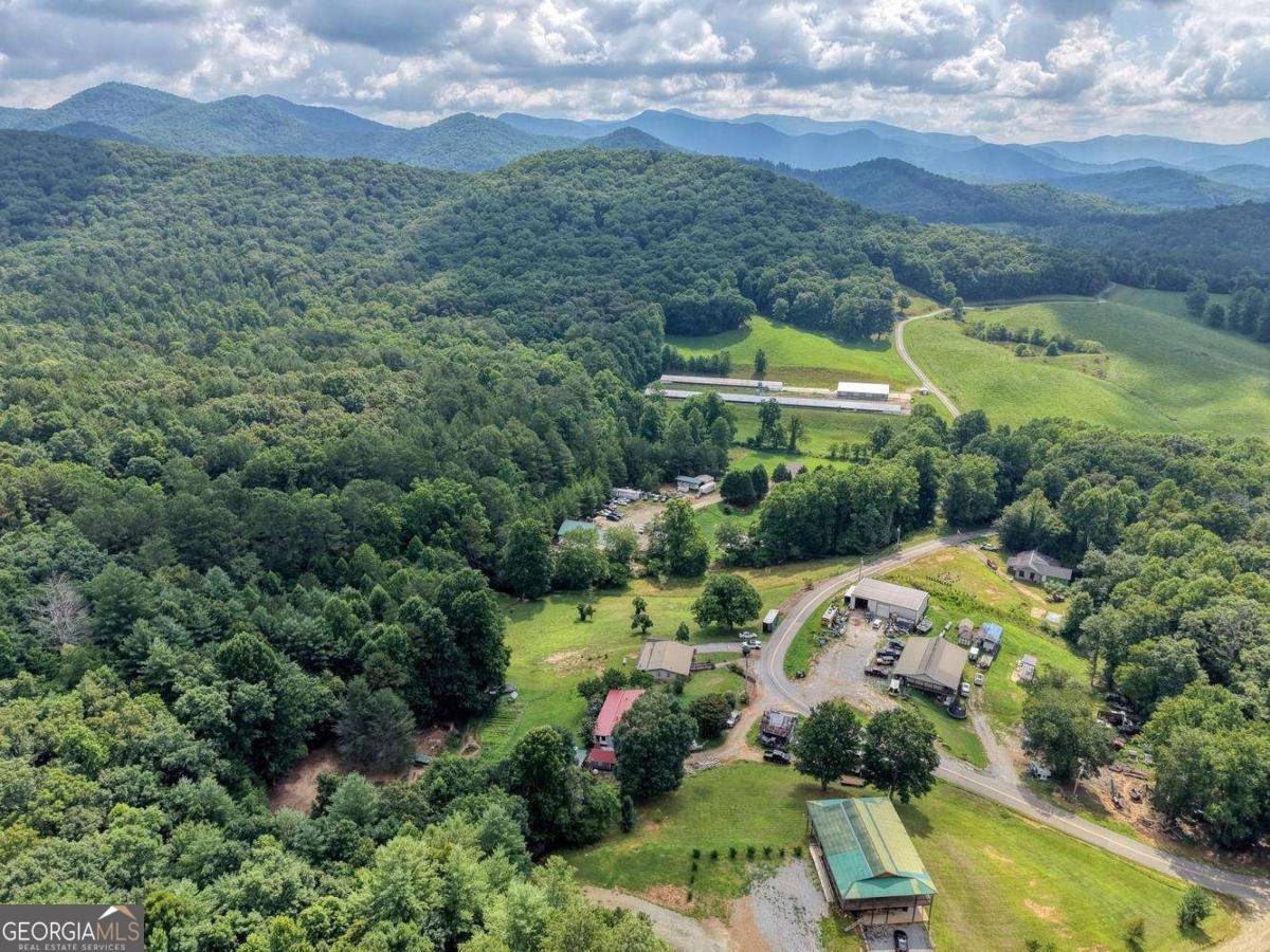 389 Nelson Circle Blairsville - Photo 45