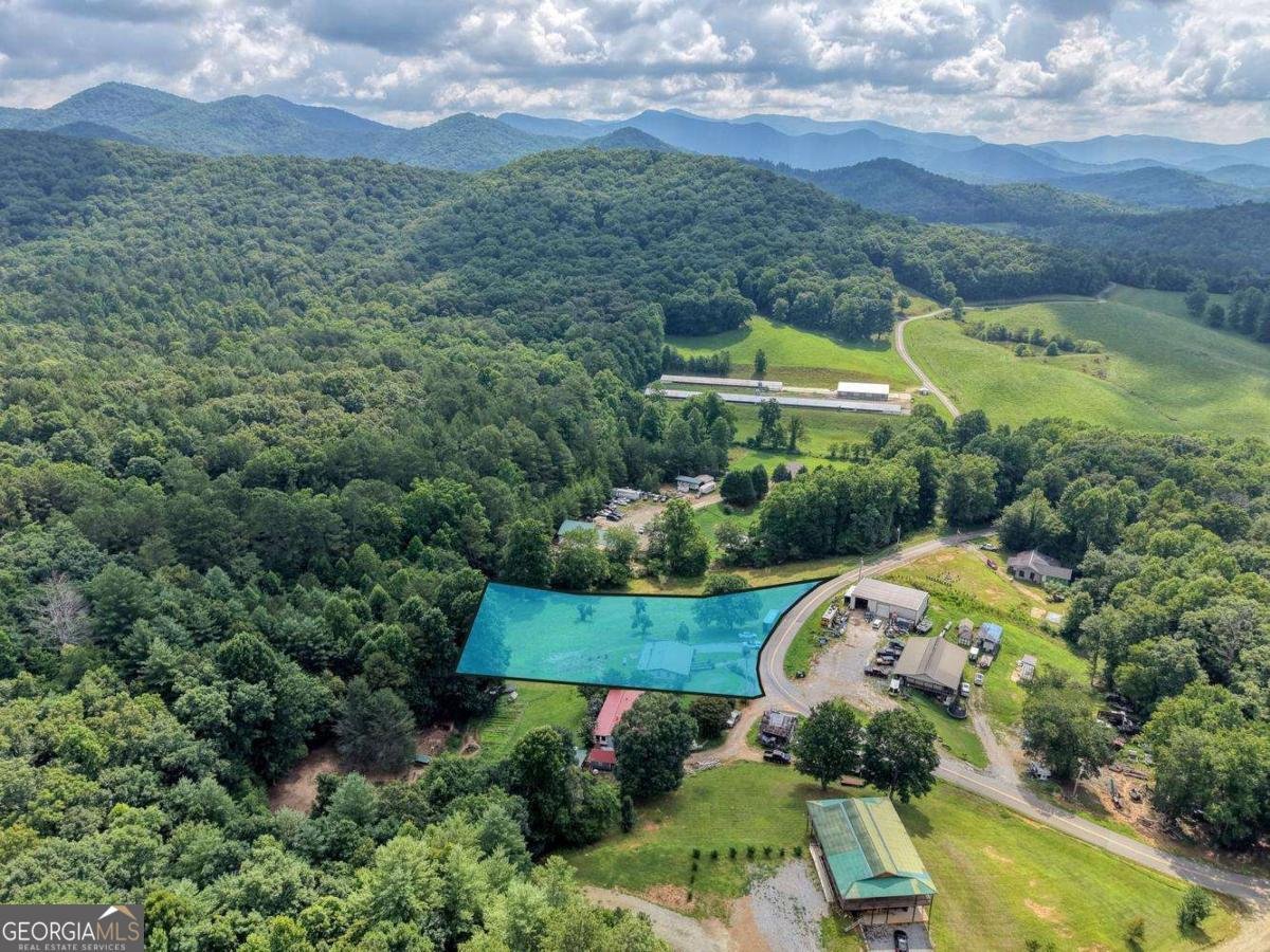 389 Nelson Circle Blairsville - Photo 46