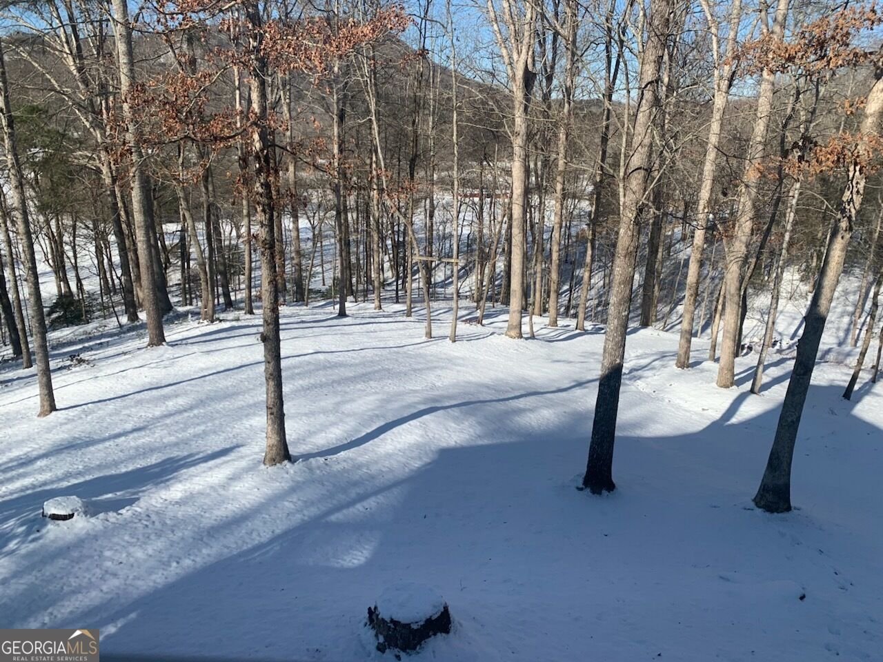 350 Foggy Creek Lane Clarkesville - Photo 104
