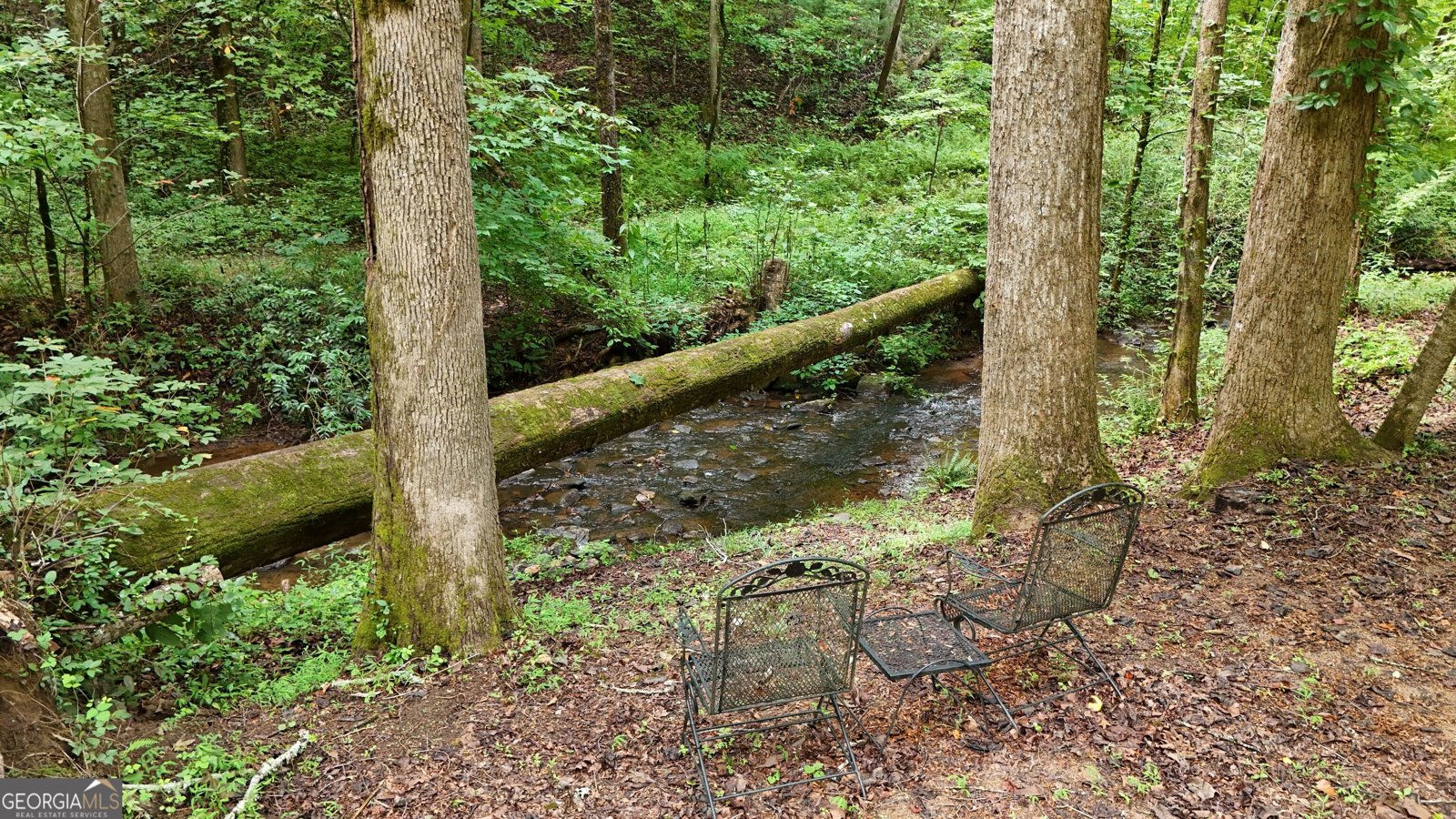 350 Foggy Creek Lane Clarkesville - Photo 121