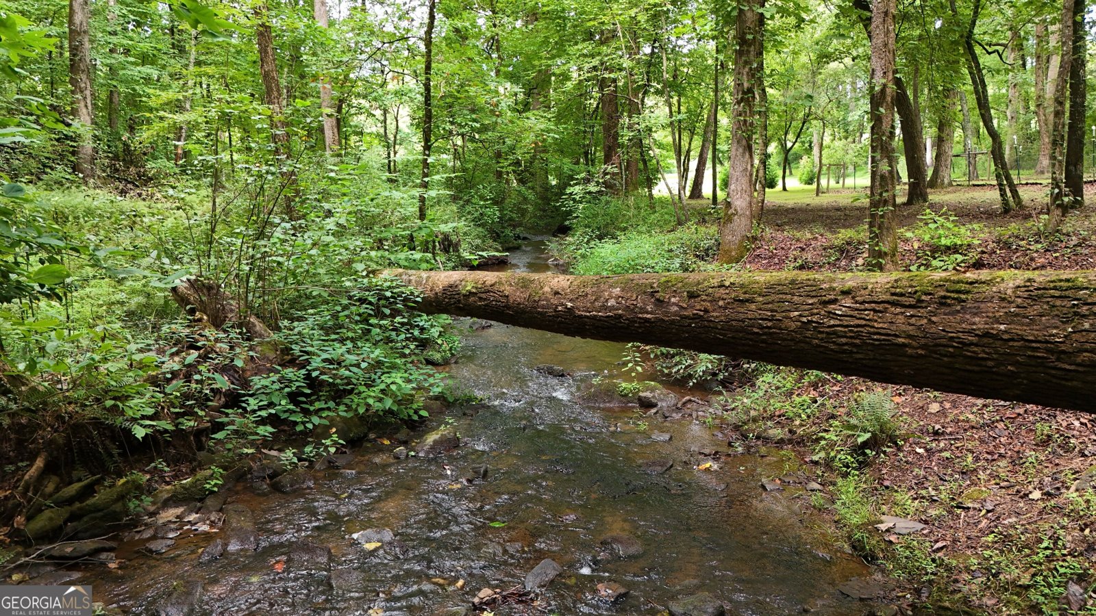 350 Foggy Creek Lane Clarkesville - Photo 122
