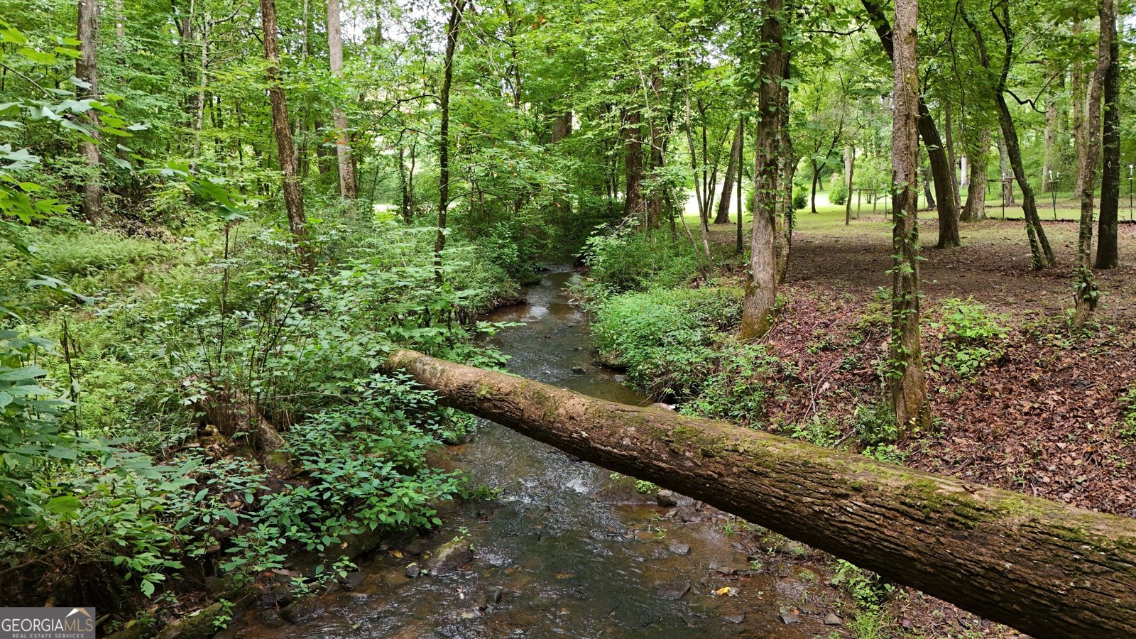 350 Foggy Creek Lane Clarkesville - Photo 124