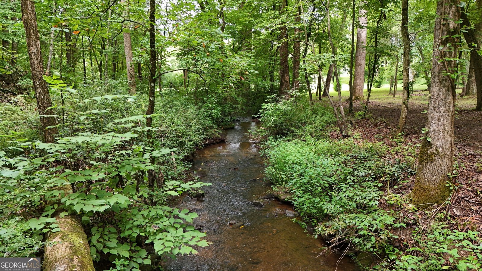 350 Foggy Creek Lane Clarkesville - Photo 125