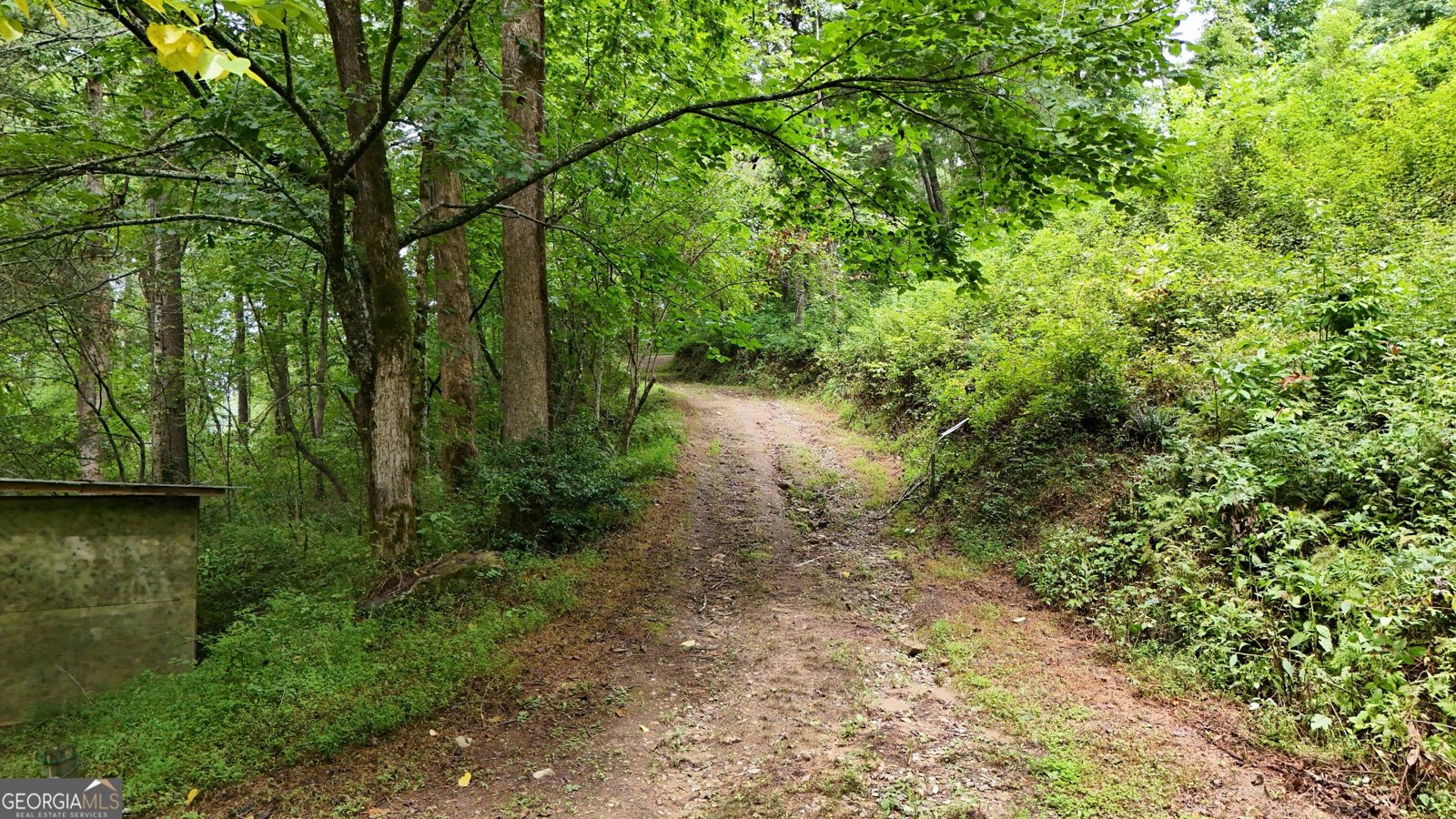 350 Foggy Creek Lane Clarkesville - Photo 128
