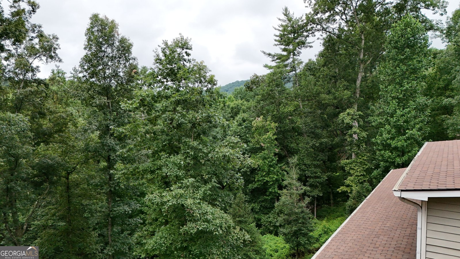 350 Foggy Creek Lane Clarkesville - Photo 133