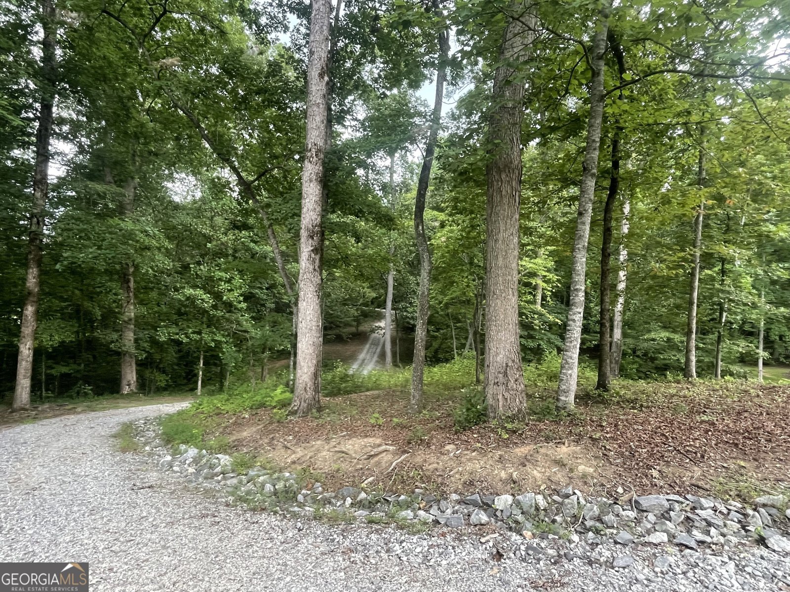 350 Foggy Creek Lane Clarkesville - Photo 99